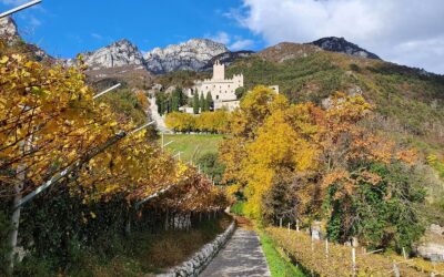 DIVIN OTTOBRE, DA VENERDÌ 20 A DOMENICA 22 OTTOBRE 2023 6 OCCASIONI PER FESTEGGIARE L’AUTUNNO