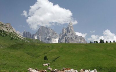 MALGHE IN FERMENTO 2023 Dal 9 al 18 novembre da giovedì a sabato – Palazzo Roccabruna