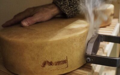 Dall’Origine alla Tavola un viaggio alla scoperta delle eccellenze del Trentino Il mondo dei Formaggi – Seminario 11 novembre 2024 ore 18.00 c/o sala Calepini Cciata Tn via Calepina