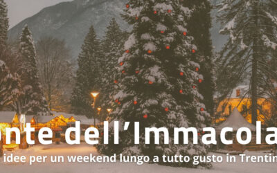 CINQUE IDEE LUNGO LA STRADA DEL VINO E DEI SAPORI DEL TRENTINO