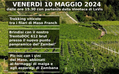 Gemme di Gusto – degustazione con visita – venerdì 20 maggio 2024 Cantina Lavis