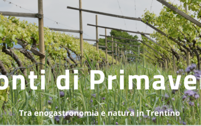 Ponti di primavera – la strada del vino e dei sapori del Trentino..