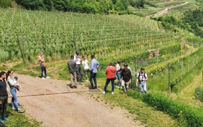 PROPOSTE PER IL WEEKEND? TUTTE LE INIZIATIVE DI GEMME DI GUSTO! 10-12 maggio 2024 Strada del vino