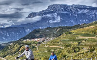 Vini trentini in vetta – Terra Trentina-Dicembre-2020