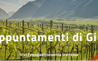 A giugno, immergiti nell’enogastronomia del Trentino