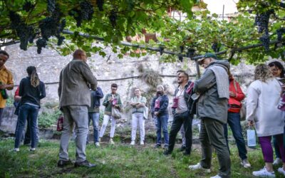 VALLAGARINA IN FESTA CON “LA VIGNA ECCELLENTE” – dal 6 all’8 settembre a Isera