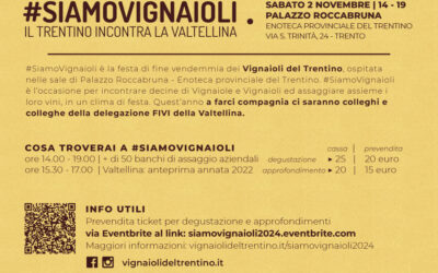#SiamoVignaioli Il trentino Incontra la Valtellina – Sabato 2 novembre Palazzo Palazzo Roccabruna – Enoteca provinciale del Trentino.