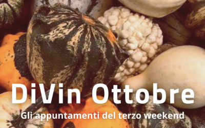 Scopri con DiVin Ottobre gli eventi dal 18 al 20 del mese e preparati ad assaporare il meglio del Trentino