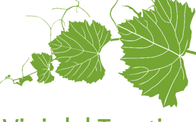 LA VENDEMMIA  2024 IN TRENTINO – A cura del Consorzio Vini del Trentino