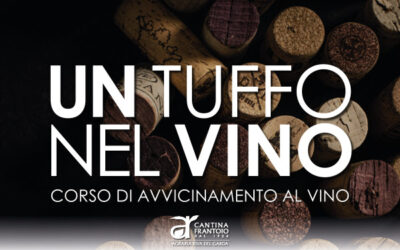 “UN TUFFO NEL VINO” corso avvicinamento al vino – Agraria Riva del Garda 7 gennaio – 4 febbraio 2025