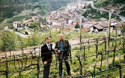 La strada che sale tra i vigneti sarà intitolata a Luigi Veronelli – L’Adige 4 gennaio 2025